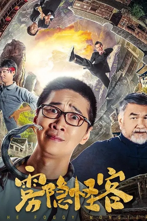 Póster de 雾隐怪客