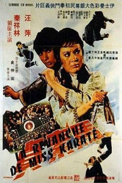 Póster de 山東大姐