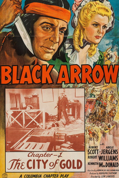 Póster de Black Arrow