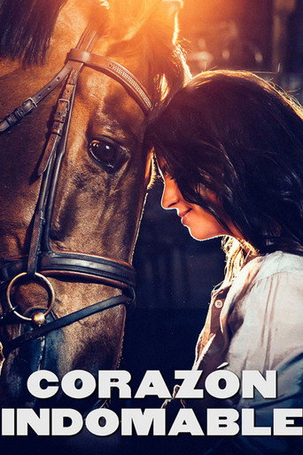 Póster de Aika jonka sain