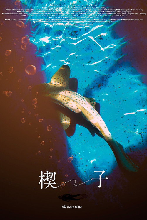 Póster de 楔子