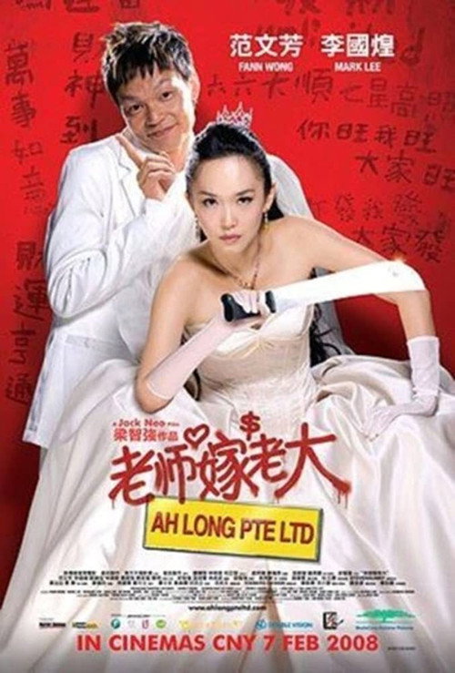 Póster de 老师嫁老大
