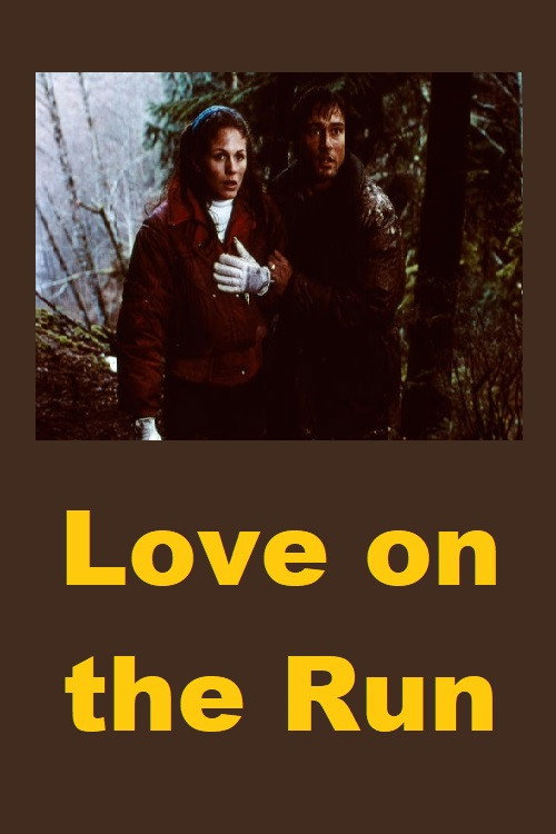 Póster de Love on the Run