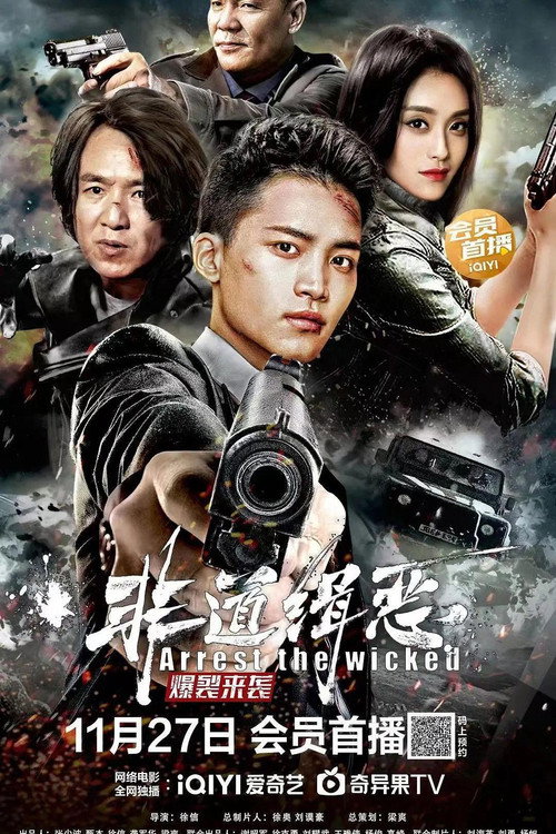 Póster de 非道缉恶
