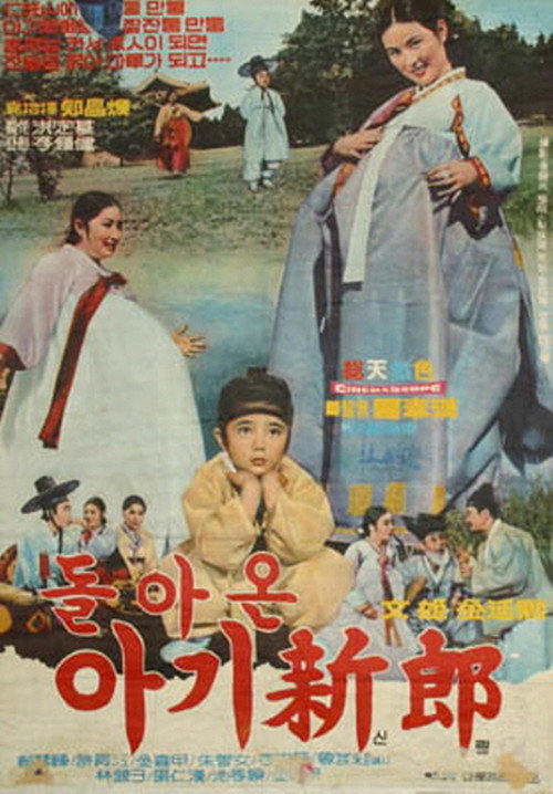 Póster de 돌아온 아기신랑