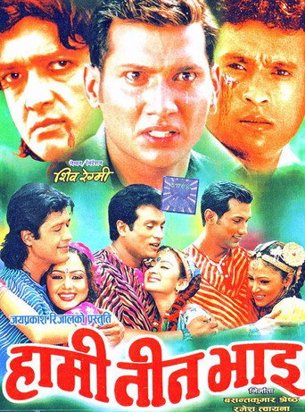 Póster de Hami Teen Bhai