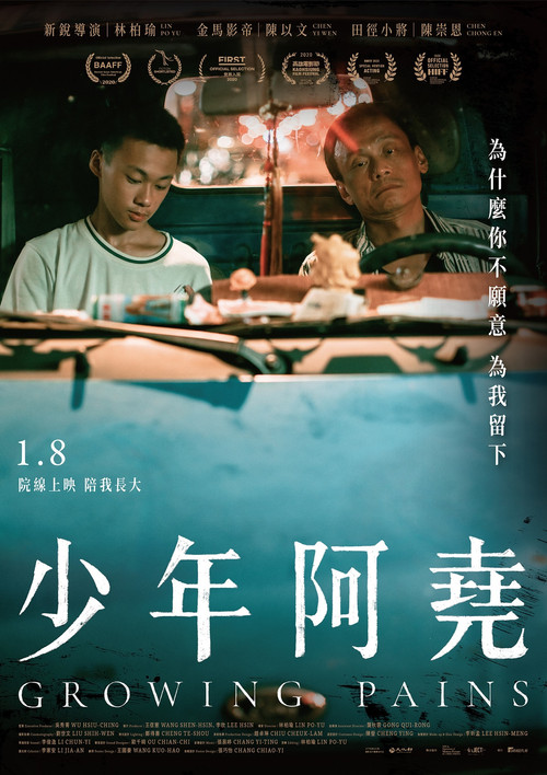 Póster de 少年阿堯