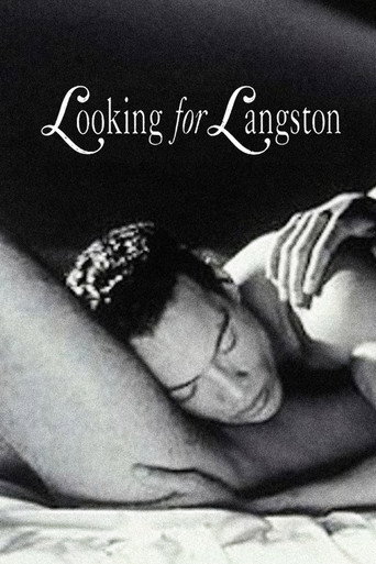 Póster de Looking for Langston