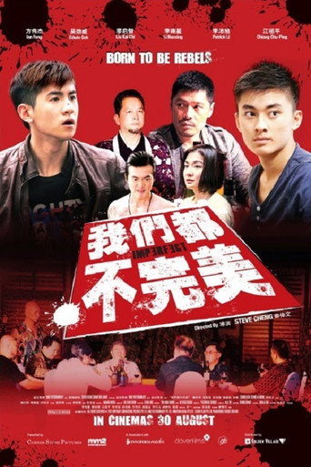 Póster de 我们都不完美