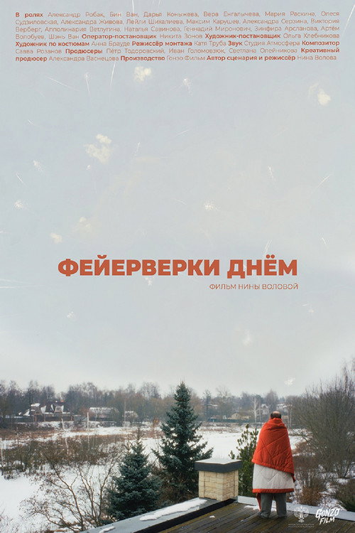 Póster de Фейерверки днём