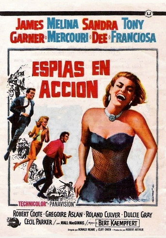 Póster de A Man Could Get Killed