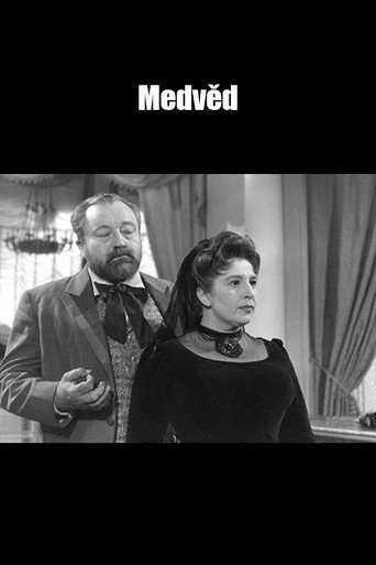 Póster de Medvěd