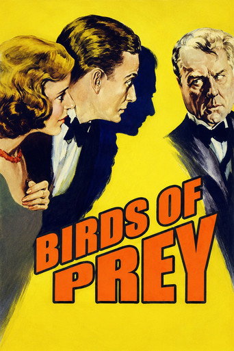 Póster de Birds of Prey