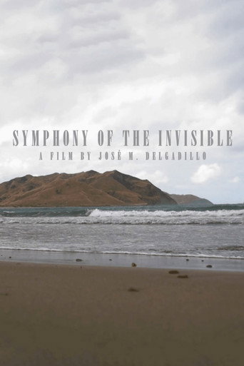 Póster de Sinfonía de lo invisible