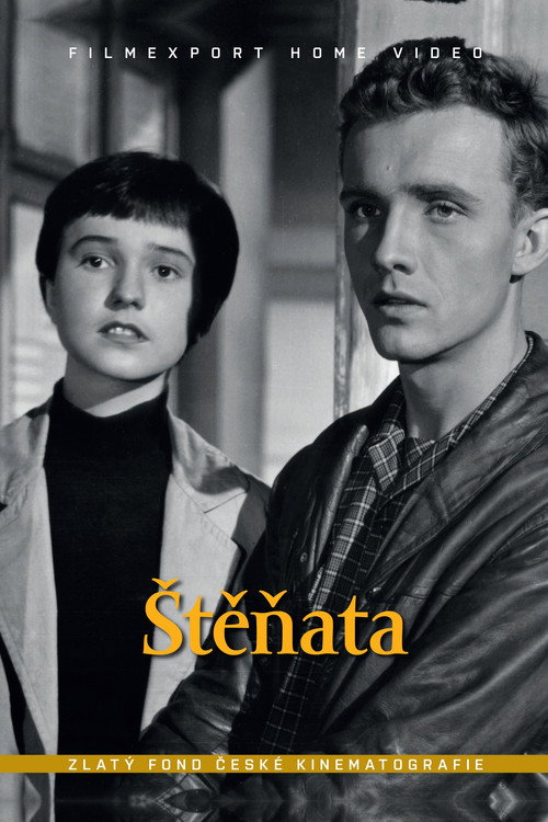 Póster de Štěňata
