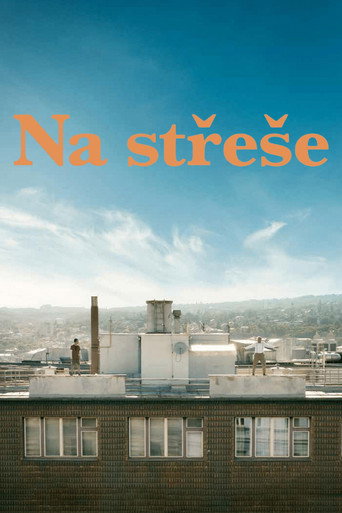 Póster de Na střeše