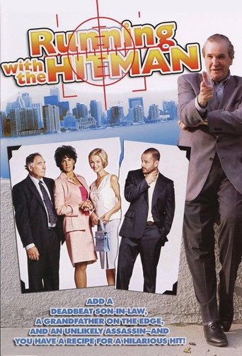 Póster de Run of the Hitman