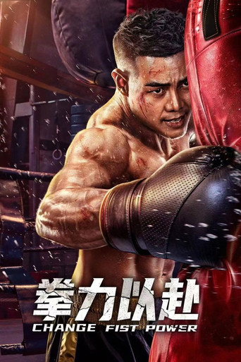 Póster de 拳力以赴