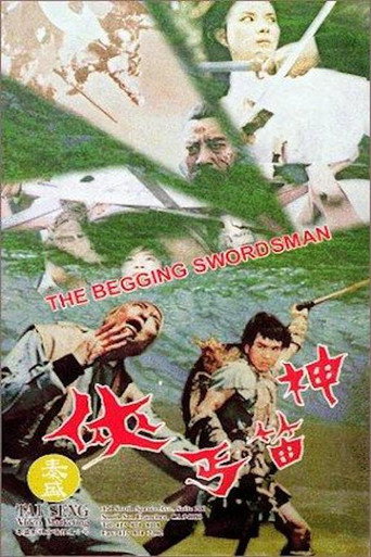 Póster de Shen di gai xia