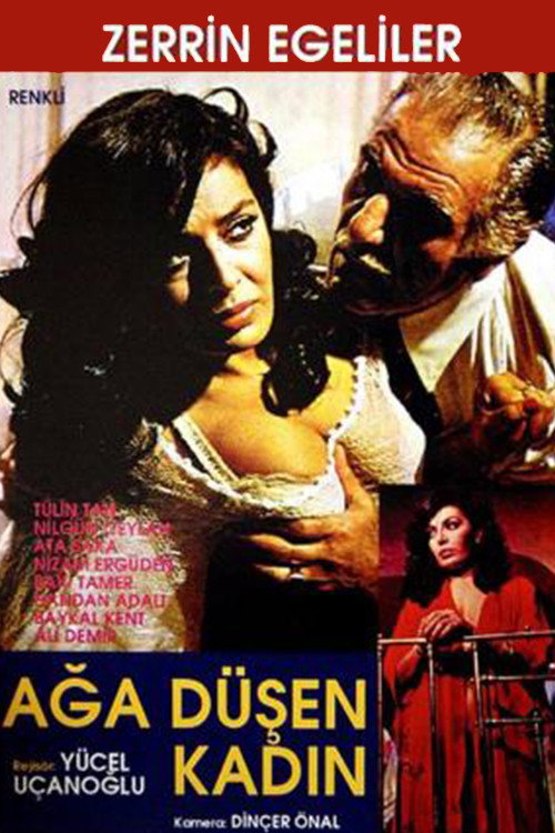 Póster de Ağa Düşen Kadın
