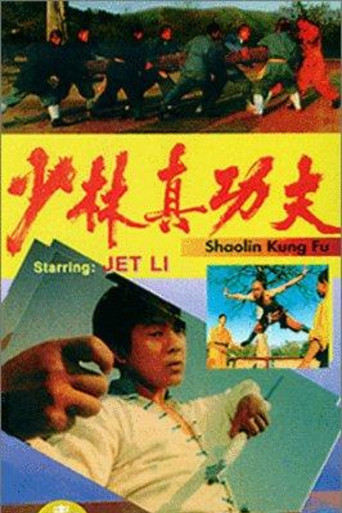 Póster de 少林真功夫