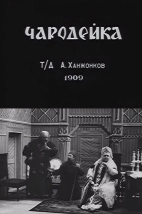 Póster de Чародейка