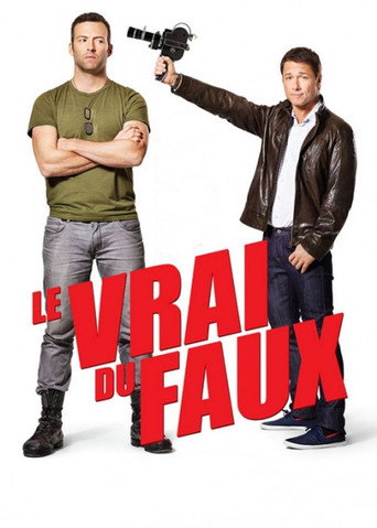 Póster de Le vrai du faux