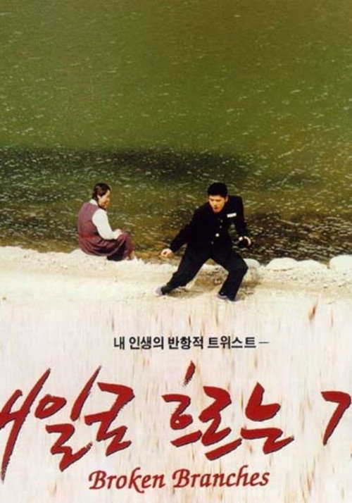 Póster de 내일로 흐르는 강