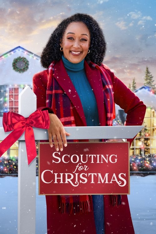 Póster de Scouting for Christmas