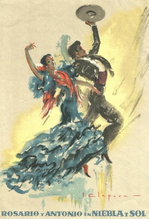 Póster de Niebla y sol