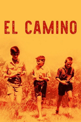 Póster de El camino