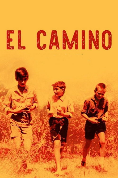 Póster de El camino