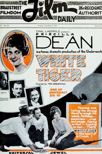Póster de White Tiger