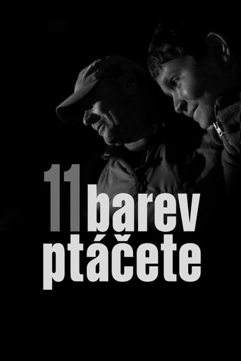 Póster de 11 barev ptáčete