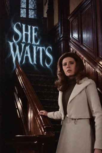 Póster de She Waits