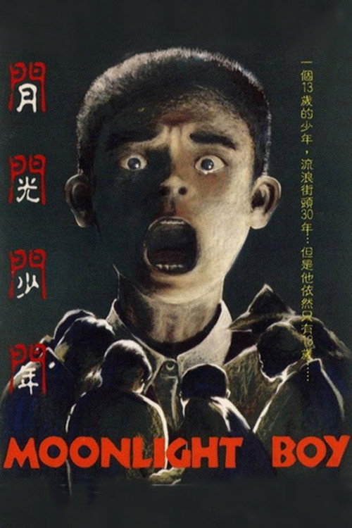 Póster de 月光少年