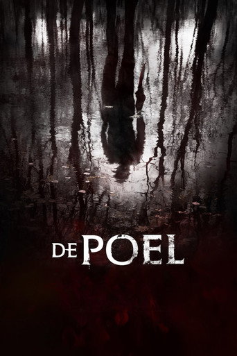 Póster de De Poel