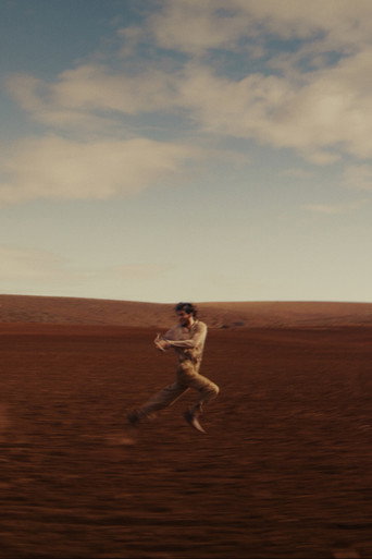 Póster de The Way of the Wind