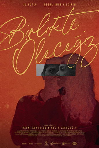 Póster de Birlikte Öleceğiz