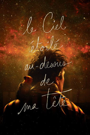 Póster de Le Ciel étoilé au-dessus de ma tête