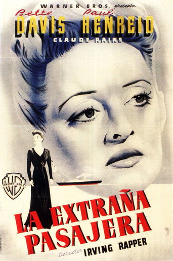 Póster de La extraña pasajera