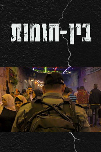 Póster de בין חומות