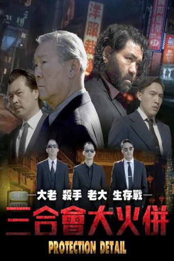 Póster de Protection Detail
