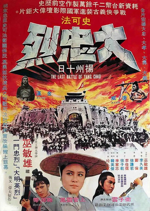 Póster de 大忠烈