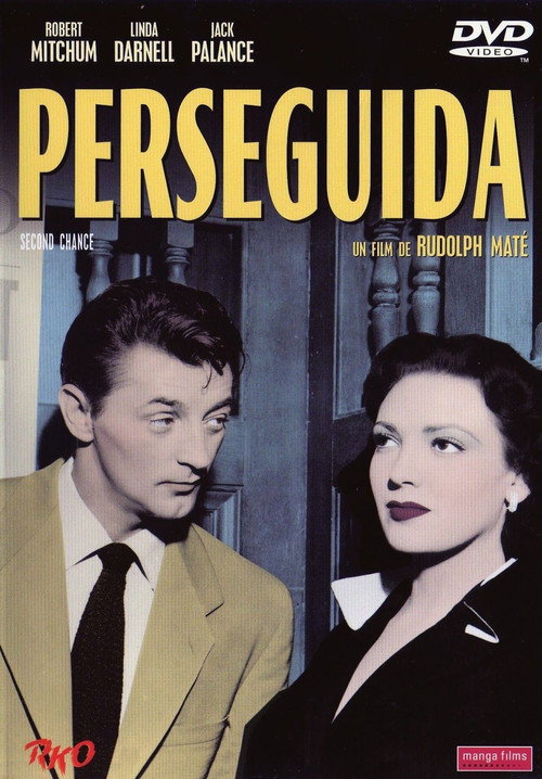 Póster de Second Chance