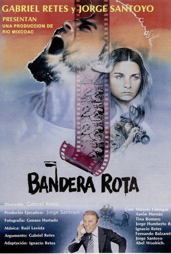 Póster de Bandera rota