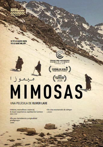 Póster de ميموزا