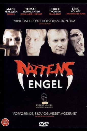 Póster de Nattens engel