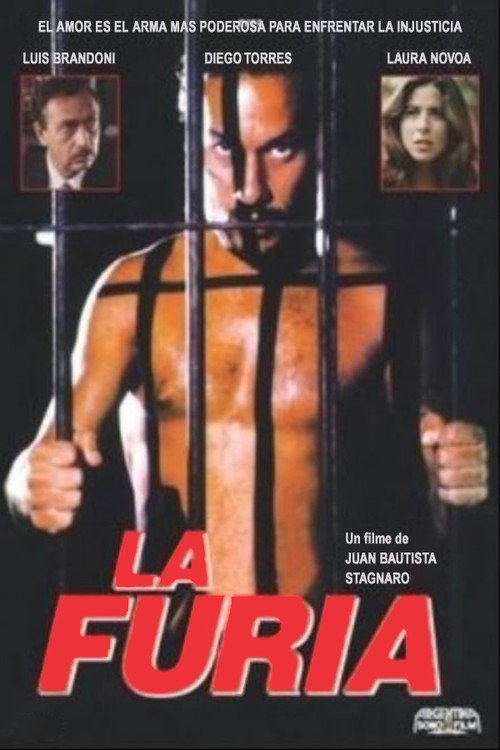 Póster de La furia