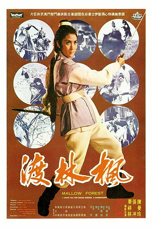 Póster de 楓林渡